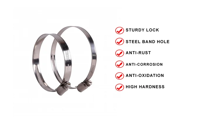 stainless steel hose clamp.png