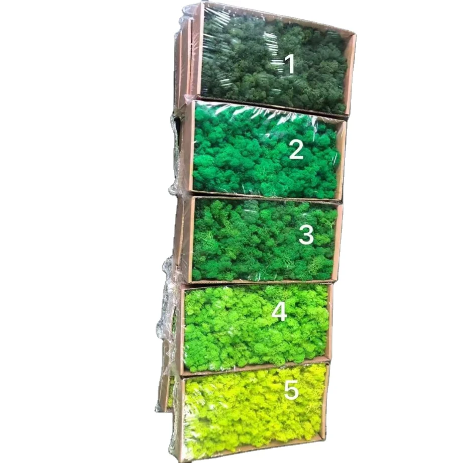 Green Moss Decorative Preserved Artificial Wall Custom-made