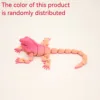 Small pink rainbow
