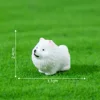 colorful Pomeranian No. 1