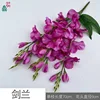 Gladiolus PP Light Purple