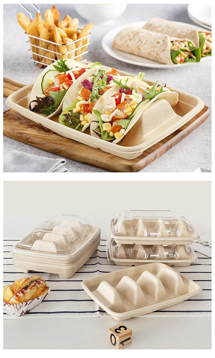 Taco Tray Container Disposable Sugarcane Bagasse Mexico Taco Tray Taco ...