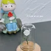 colorful D- The Little Prince, the White rose