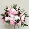 rosa 5