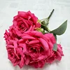 Rose madder