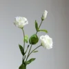 Blanco-58cm