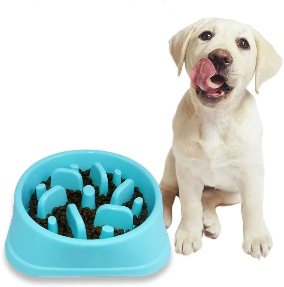 pet fun feeder