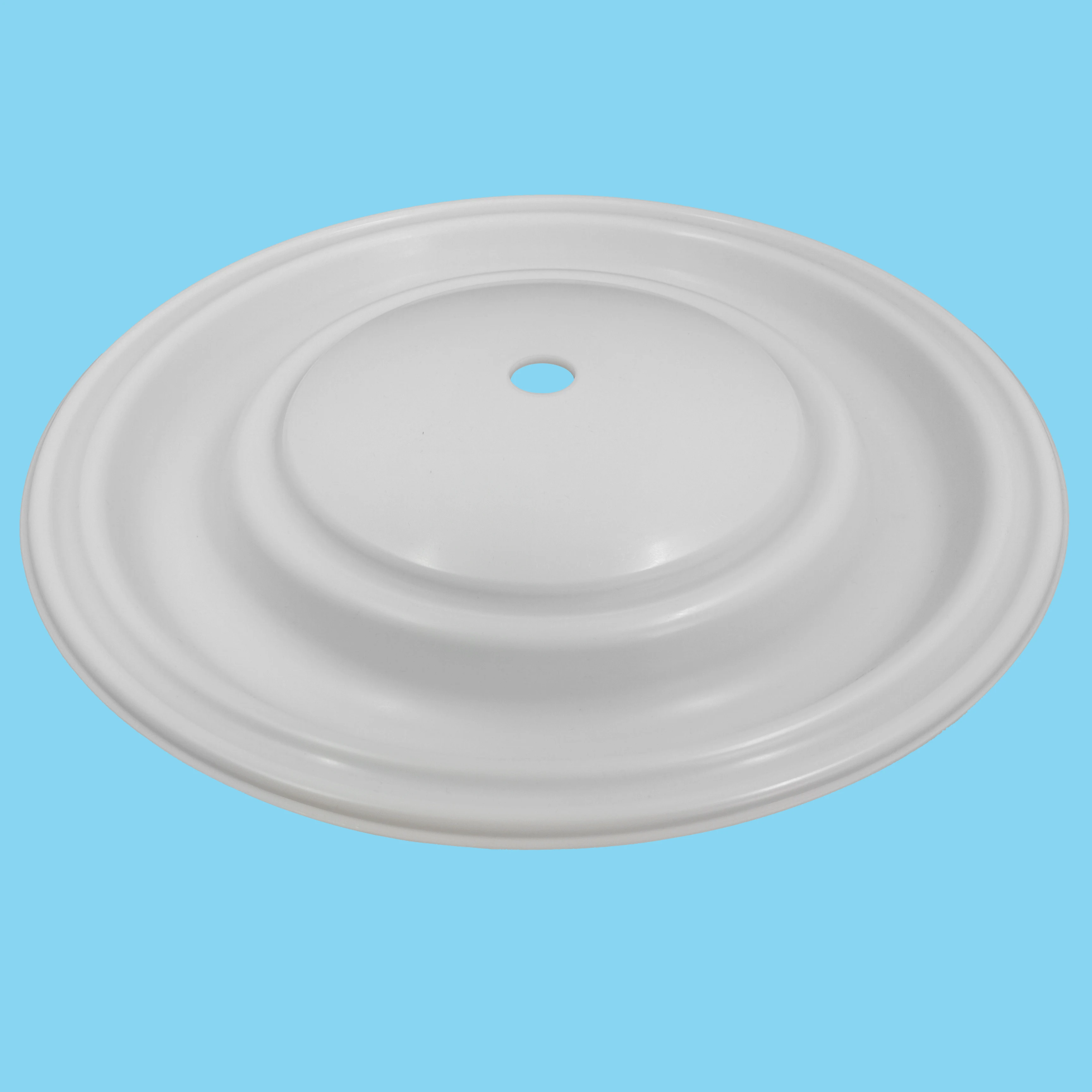 CF08-1040-55 Diaphragm supplier