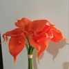 16 all orange
