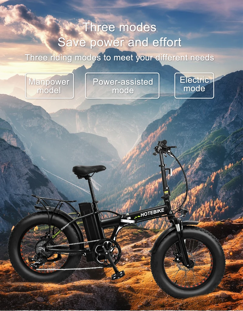 Electr Bike 20 Inch Fat Tire Ebike 20 Inch Frame E Bike 1000w 48v