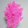 Fresh pink