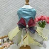 Vestido de tul de la princesa Cher