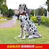 85 dalmata - controllo vocale