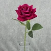 Rose Red