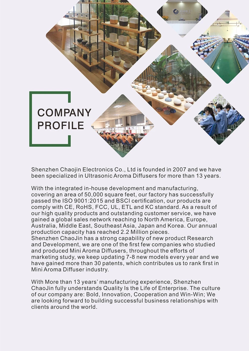 company profile