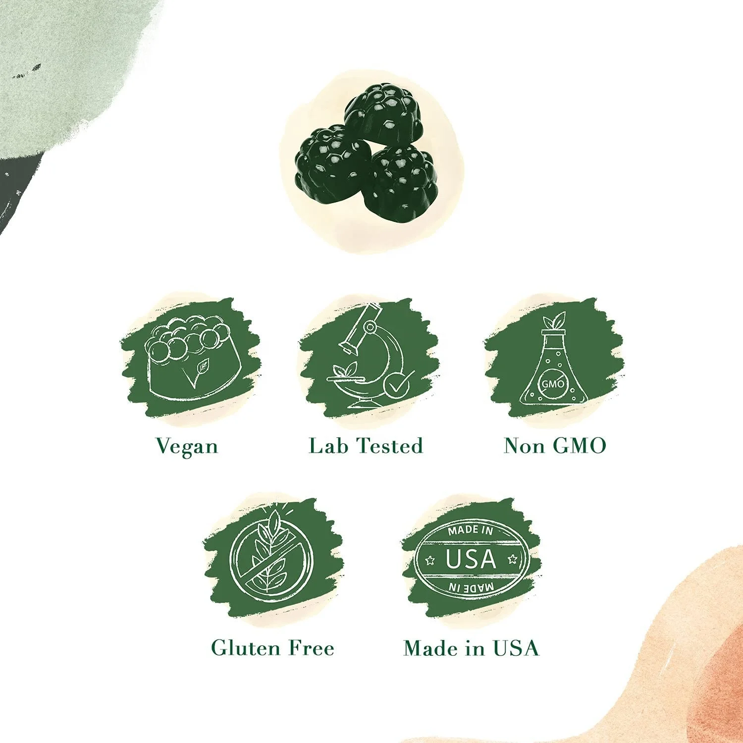 OEM/ODM Health Supplement Gummies Candies Boost Your Energy and Repair Digestion Organic Chlorophyll Gummies