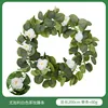 Eucalyptus rose