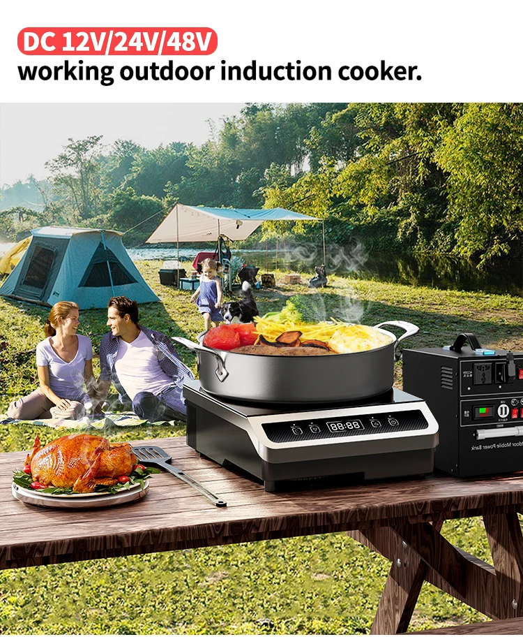 12 Dc Solar Electric Induction Cooker Stove 12v/24v Solar Dc Induction