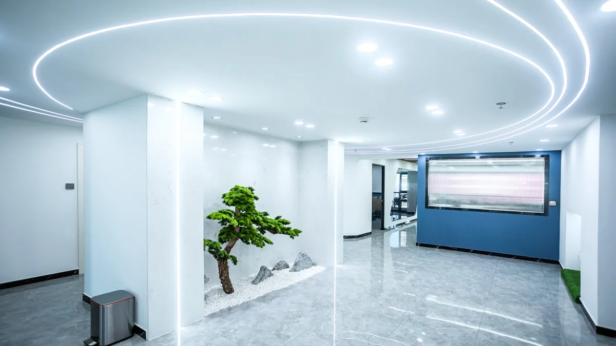Shijiazhuang Sanxing Feather Processing Co., Ltd. 2