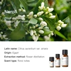 Niaouli (Madagascar) 10ml