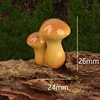 No. 5 boletus fungus