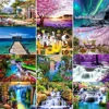 Paysage, Nature, Animaux