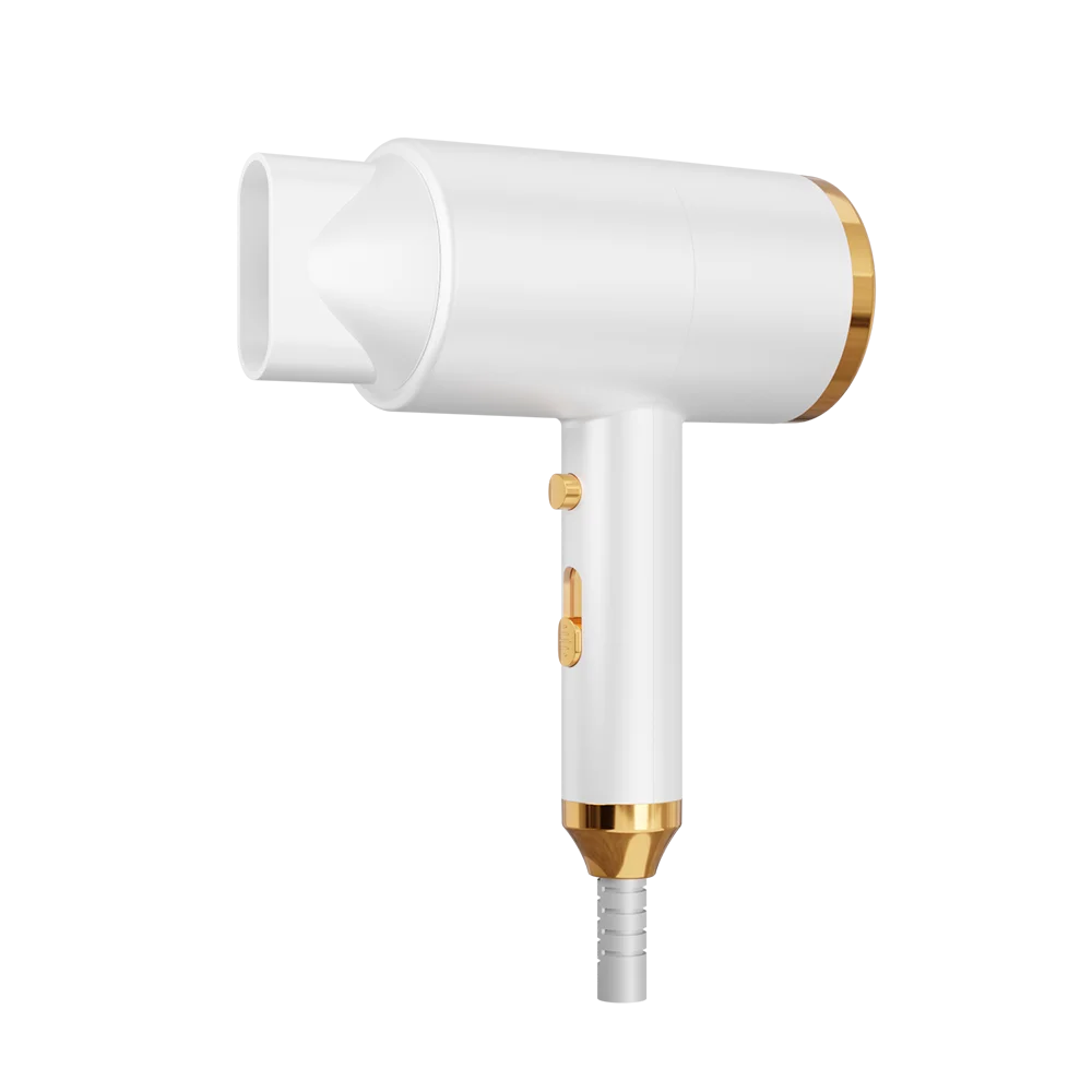 5 in 1 Hand Rechargeable Salon Professional Ionic Hair Dryer for  Brush for Household & Hotel Use