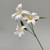 Poudre blanche de lys doré