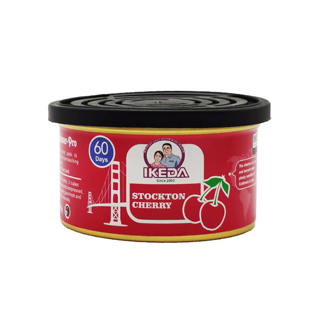 Custom Car Perfume Empty Car Solid Perfume Car Perfume Solid