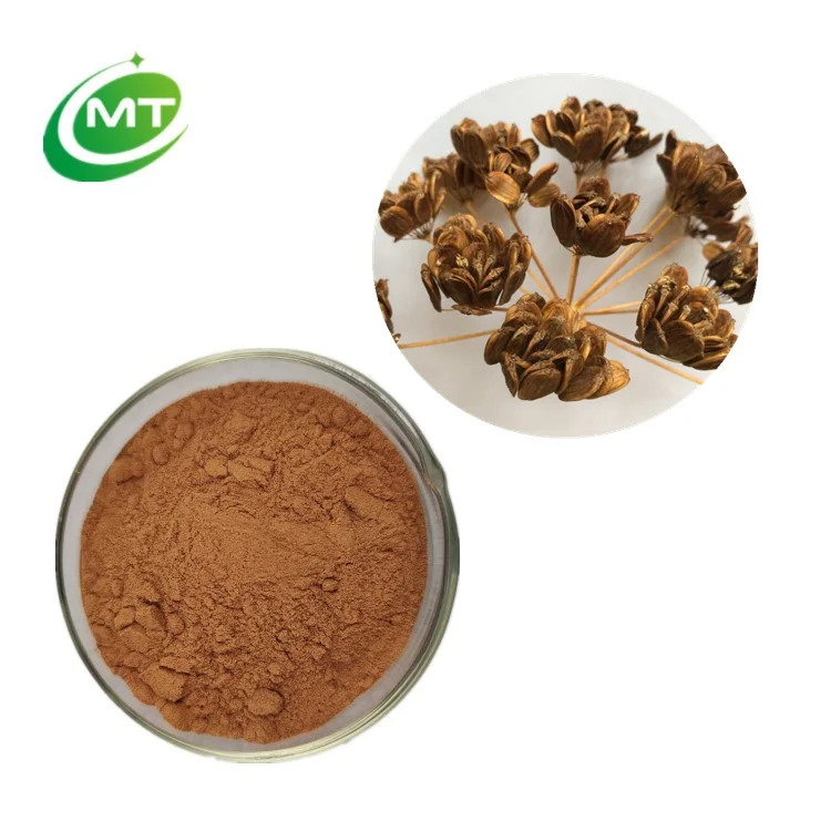 Pure Natural Ferula Communis Seed Extract 10:1 Ferula Communis Extract