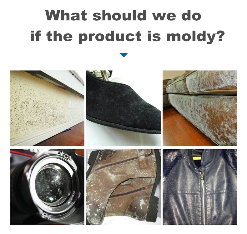 Shoes Clothes Box Packaging Mildew Proof Used Green Anti Mold Chip