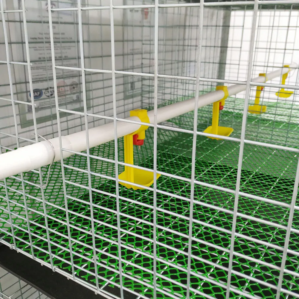 Automatic Chicken Breeding Equipment  Galvanized Vertical Chicken Cage Manufacturers Direct Spot Supply