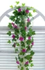 Rose Madder