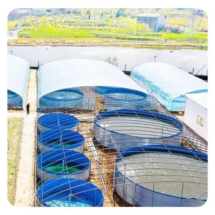 Aquaponics System Complete Growing Recirculating Aquaculture System With Fish Farming