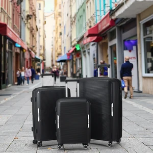 Professional Factory Large Capacity Trolley Luggage Sets Durable Business PP Material Suitcase Double Zipper TSA Fashionable