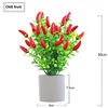 Chili pepper fruit
