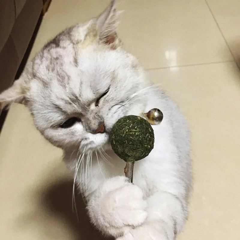 
Питомцы для кошек, мята, леденец, конфеты, мячик, игрушка, таза, серебряная палочка, еда, лакомство, закуска 