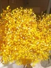 Giallo