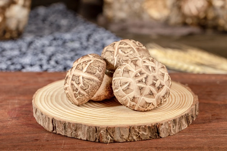 Прямые продажи с завода, сушеные органические грибы Shiitake