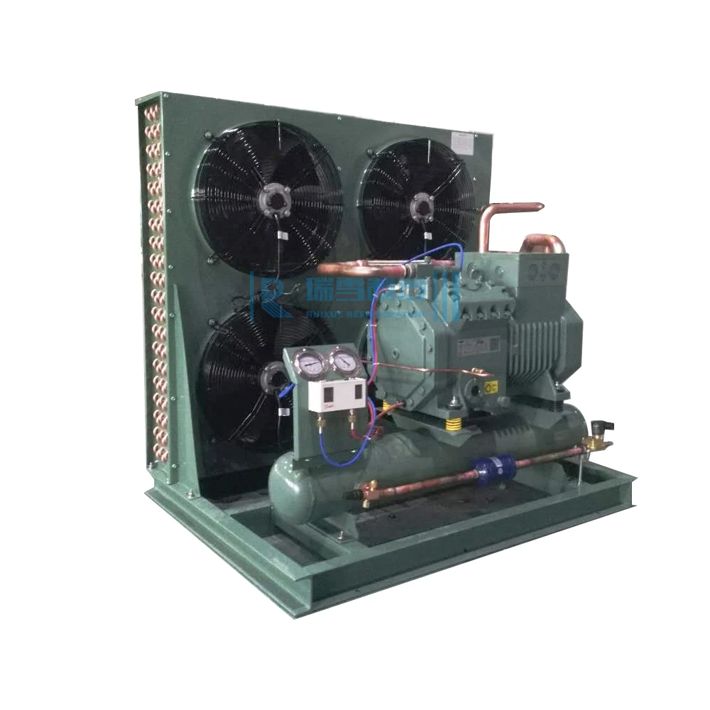 10 Ton Condensing Unit Cold Room Blast Freezer 2des Condensing Unit Made in China Refrigeration Unit