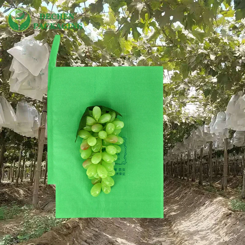 Grapes Paper Mango Protection Bag In Peru Chile