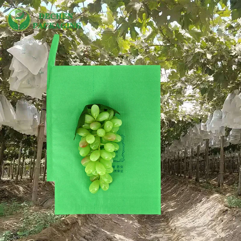 Protégez le sac de pépinière d'usine de protection de culture de poire de banane pour le raisin