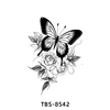 ผีเสื้อ-8542