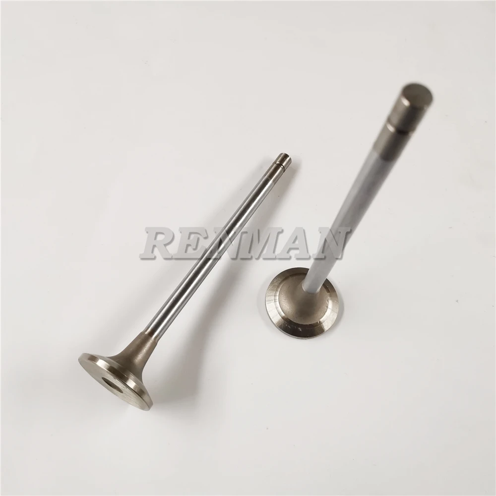 Cummins Engine M11 ISM11 QSM11 L10 Exhaust Valve 3417713 3033235 