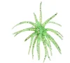Vert clair