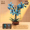 Blue Cymbidium 101-4