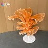 Design 5