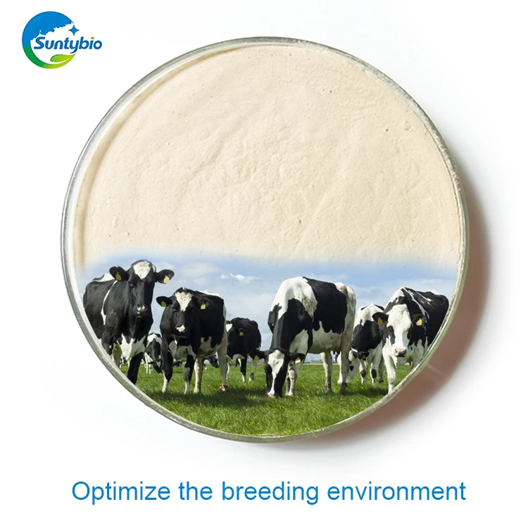 Animal Feed Grade Probiotics Enterococcus Faecium Powder Additives in China