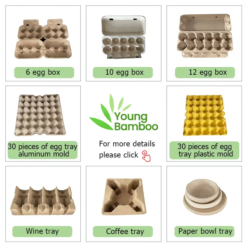 New Starting Business Customized Egg Tray Making Machine Automatic Egg Tray Forming Machine
