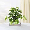 White and green (including pot)